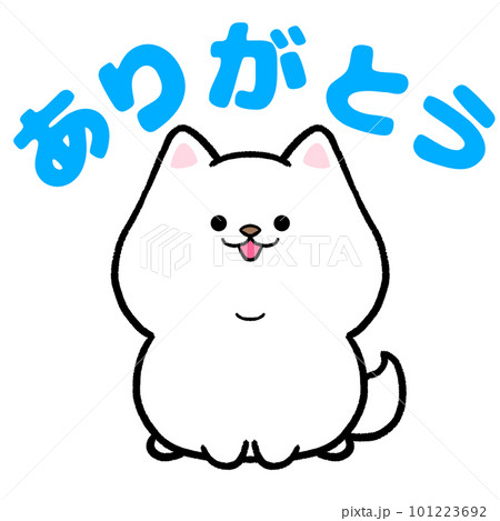 白柴とありがとう 101223692