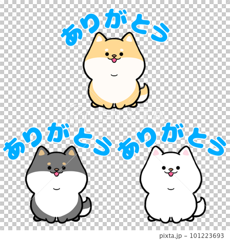 柴犬和謝謝你 3 件套 柴犬和謝謝你 3 件套 101223693
