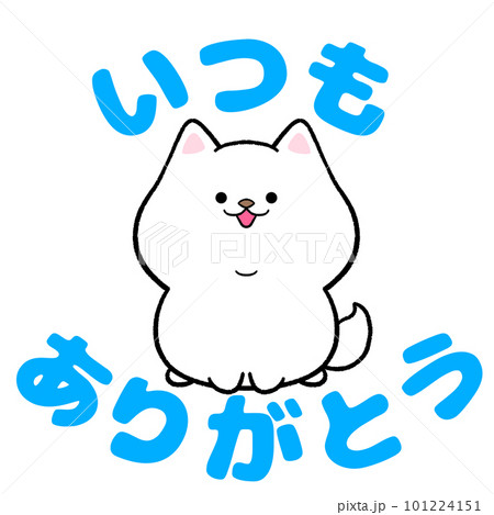 白柴のいつもありがとう 白柴のいつもありがとう 101224151