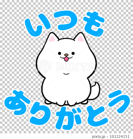 Shirashiba always thank you 101224151