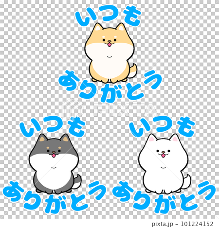 Shiba Inu always thank you 3-piece set 101224152