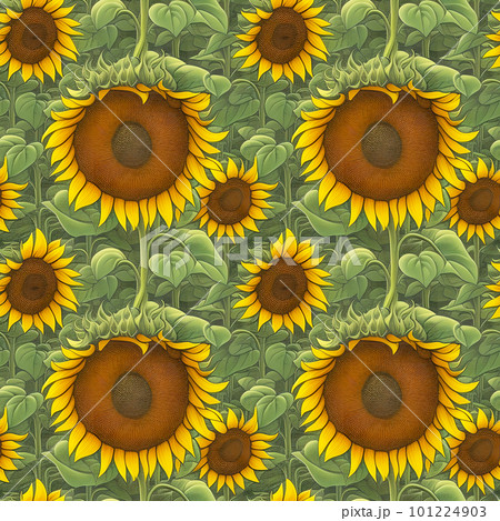Seamless pattern of painted sunflowers. Suitable for textiles, fabric, wrapping paper. Wallpaper for children. Generative AI. 101224903