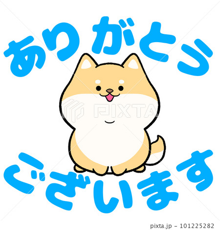 柴犬のありがとうございますのイラスト素材 [101225282] - PIXTA
