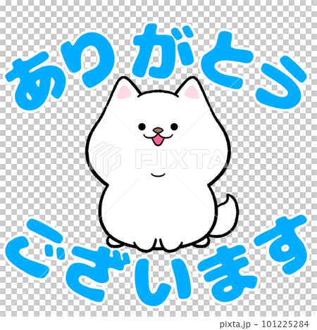 謝謝白芝 謝謝白芝 101225284