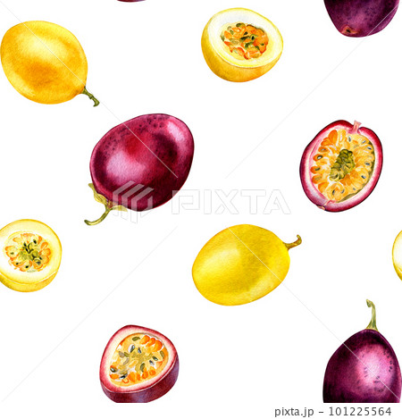 Purple, yellow passion fruit watercolor seamless pattern isolated on white background. Purple, yellow passion fruit watercolor seamless pattern isolated on white background. 101225564