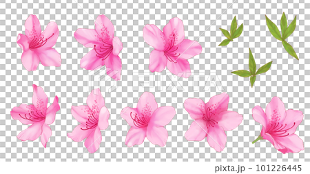 ピンクの水彩風つつじ 101226445