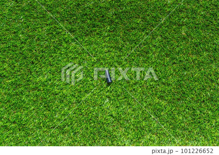 Green grass texture background Top view of bright grass garden Idea concept used for making green backdrop, lawn for training football pitch, Grass Golf Courses green lawn pattern textured background. 101226652