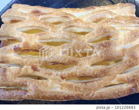 黒皿にのせられたアップルパイ　写真素材 101226683