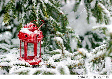 Red lantern on branches of spruce covered with snow 101226810