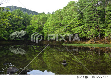鶏頂山登山、藤原登山口より 鶏頂山登山、藤原登山口より 101227447