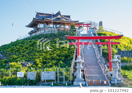 「青森県」快晴の空とウミネコ繁殖地蕪島・八戸市 「青森県」快晴の空とウミネコ繁殖地蕪島・八戸市 101227492