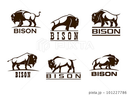 Bison buffalo symbols for company, corporate business or brand, vector bull ox icons. Bison buffalo silhouette of wild bull animal with raised hoof for corporation, sport, military or hunting store 101227786