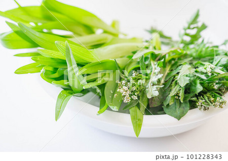 ナズナとカンゾウナ ナズナとカンゾウナ 101228343