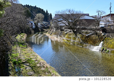 小京都高山の中橋から見た春の桜を待つ季節 101228520