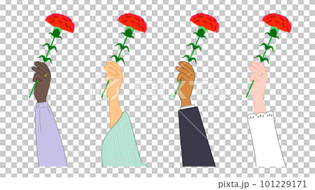 指輪をしている手でカーネーションの花を受け取るイラスト 101229171