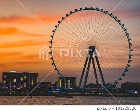 View of Marina JBR beach and the Ain Dubai Giant ferris Wheel in Meraas Dubai, United Arab Emirates 101229526