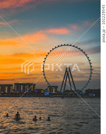 View of Marina JBR beach and the Ain Dubai Giant ferris Wheel in Meraas Dubai, United Arab Emirates 101229545