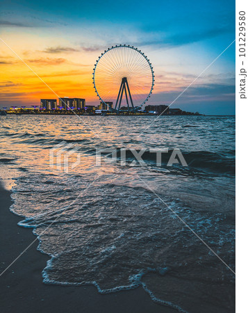 View of Marina JBR beach and the Ain Dubai Giant ferris Wheel in Meraas Dubai, United Arab Emirates 101229580