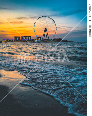 View of Marina JBR beach and the Ain Dubai Giant ferris Wheel in Meraas Dubai, United Arab Emirates View of Marina JBR beach and the Ain Dubai Giant ferris Wheel in Meraas Dubai, United Arab Emirates 101229607