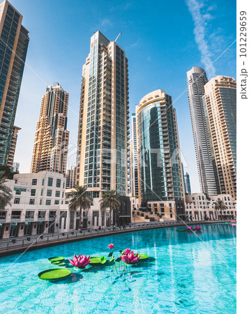 View of Burj Park surrounded by skyscrapers in Downtown Dubai, United Arab Emirates 101229659