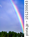 青空にかかる虹 101230043