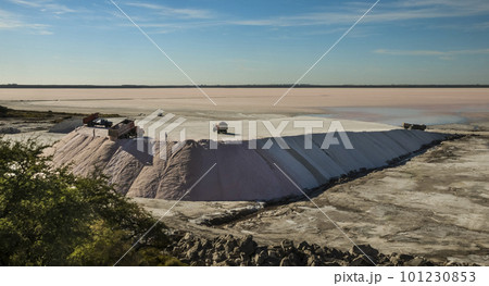 Trucks unloading raw salt bulk, Salinas Grandes de Hidalgo, La Pampa, Argentina. 101230853
