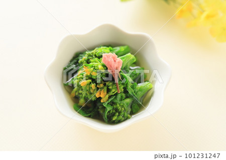 春の季節、菜の花のお浸し 101231247