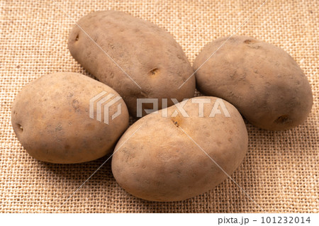じゃがいも　品種はインカのめざめ 101232014