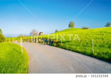 The Swiss countryside. Road. Tree on top of the hill. Fields and pastures. Agricultural landscape 101232399
