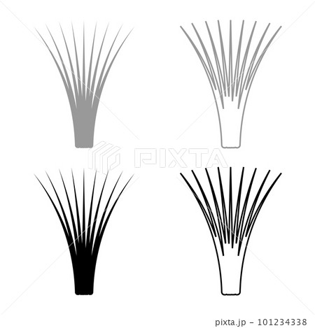 Edible grass lemongrass Cymbopogon citratus spices vegetable herbal plant set icon grey black color vector illustration image solid fill outline contour line thin flat style Edible grass lemongrass Cymbopogon citratus spices vegetable herbal plant set icon grey black color vector illustration image solid fill outline contour line thin flat style 101234338