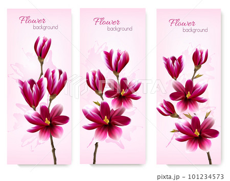 Nature spring banners with beautiful magnolia branches. Vector. 101234573