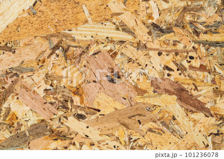 Wooden oriented strand board 101236078