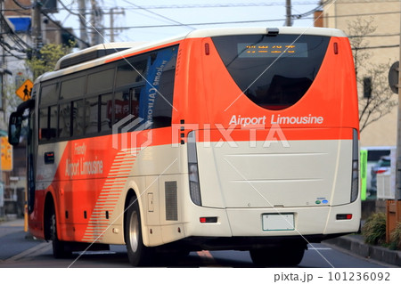 大型バス イメージ 大型バス イメージ 101236092