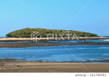 【宮崎県】青島海岸から見た青島と鬼の洗濯板（青島神社と鳥居） 101236261