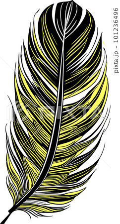 simple graphic drawing black and yellow bird feather, sketch, logo 101236496