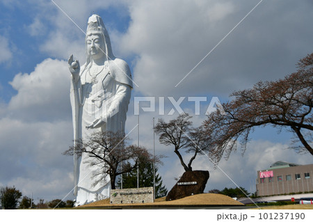 大観密寺前の交差点から仰ぐ仙台大観音 101237190