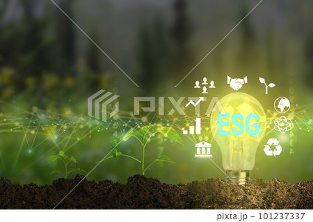 Global ESG technology concept. Bulb and holographic button. Environmental, Social, and Corporate Governance idea.  101237337