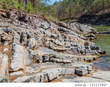 Sunny view of the landscape of Friends Trail Loop Trail in Beavers Bend State Park Sunny view of the landscape of Friends Trail Loop Trail in Beavers Bend State Park 101237997