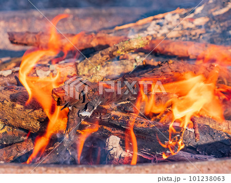 Close up shot of a camp fire in Beavers Bend State Park 101238063