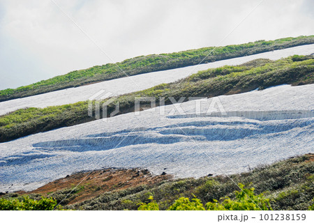 山形県 月山 夏スキー場 姥ケ岳ゲレンデ 山形県 月山 夏スキー場 姥ケ岳ゲレンデ 101238159