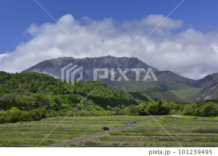 4月の大山 101239495