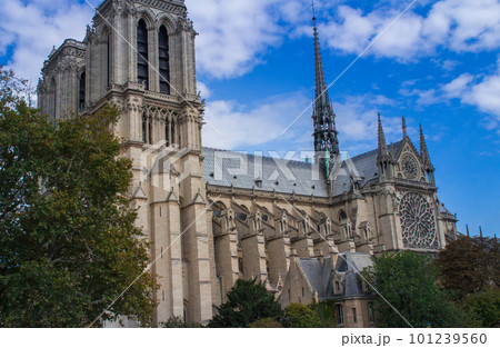 ノートルダム大聖堂(フランス-パリ) 101239560