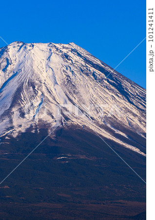 (山梨県)快晴の空と雪かぶる富士山 (山梨県)快晴の空と雪かぶる富士山 101241411