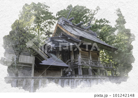 水彩画風　須佐神社　本殿　島根県出雲市 101242148