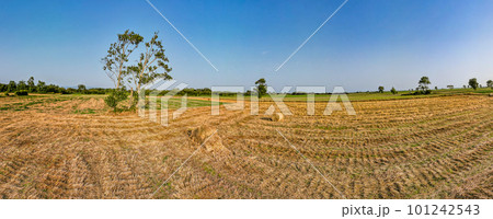 Aerial View of rural landscape Aerial View of rural landscape 101242543