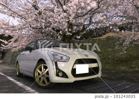 満開の桜の下のコペン 満開の桜の下のコペン 101243035