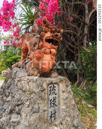 琉球村&シーサー&フラワー‼︎  101243310