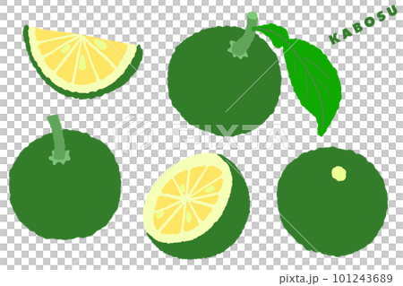 Kabosu hand-drawn illustration 101243689