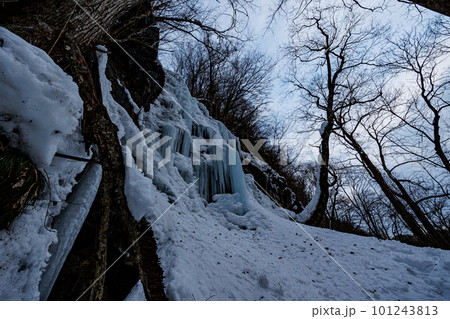 冬の奥入瀬渓流の滝の氷瀑（青森県） 101243813