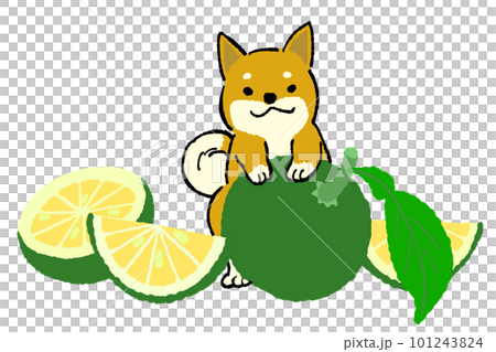 Kabosu and dog illustration Kabosu and dog illustration 101243824